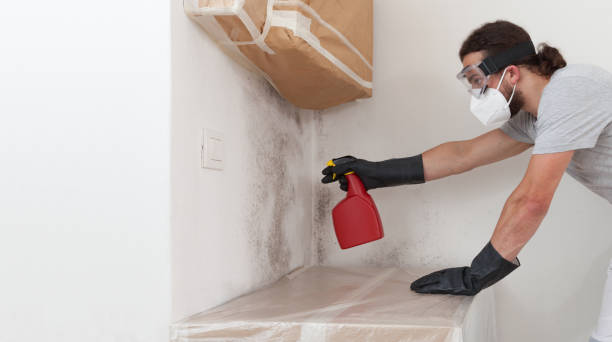 Professional Bathroom Mold Removal technician working in Lewisville, TX