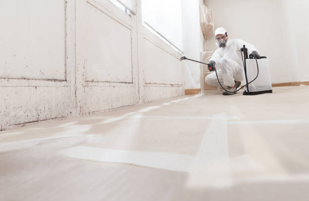 24/7 Emergency Bathroom Mold Removal experts in Lewisville, TX