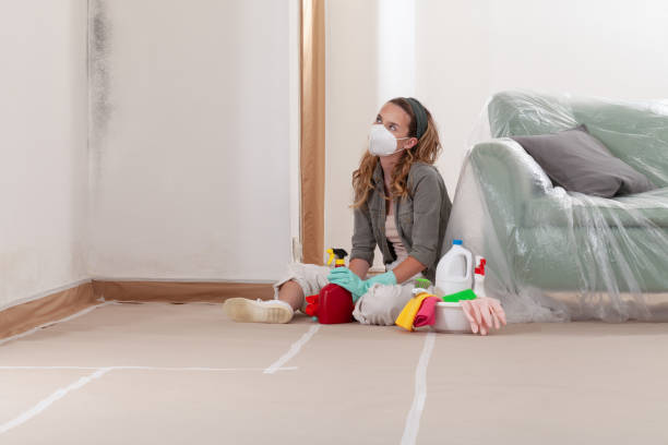 Reliable Bathroom Mold Removal contractor in Lewisville, TX by Mold Remediation HQ